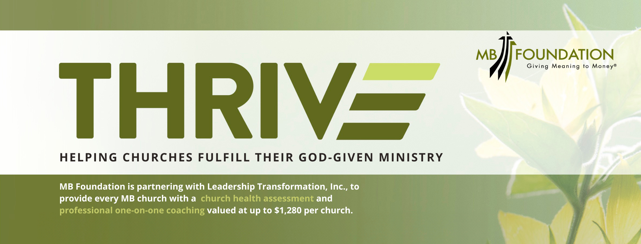 THRIVE - MB Foundation